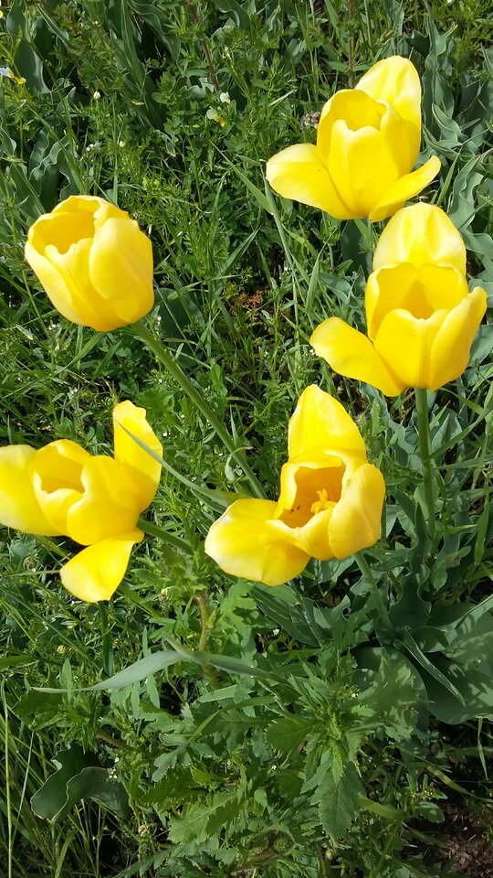 2018-05-23 14.52.58.jpg