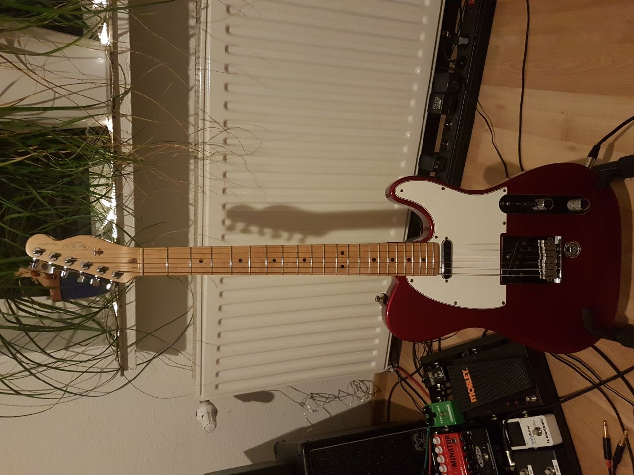 20181224_075327.jpg