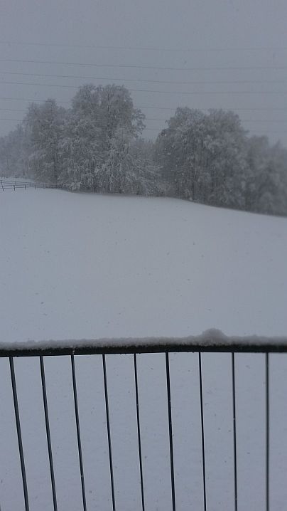 20190110_155740.jpg