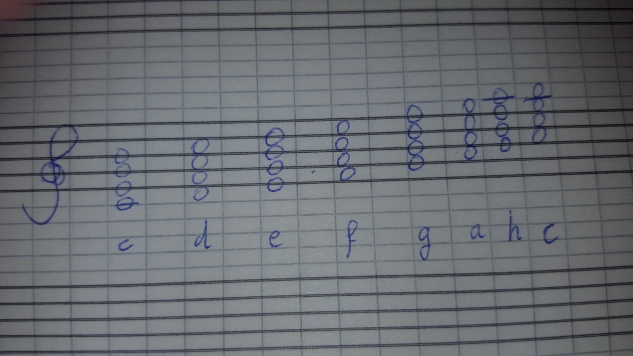 20190127_155923.jpg