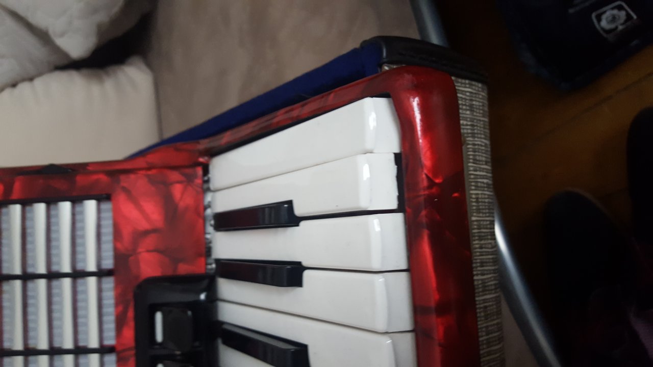 20190301_140533.jpg