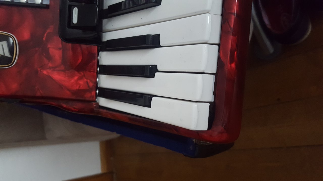 20190301_140545.jpg