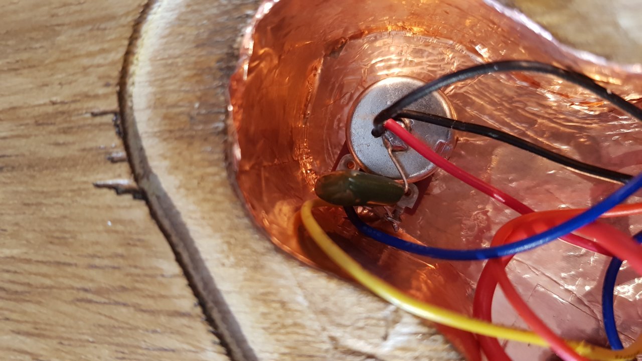 20190317_162924.jpg