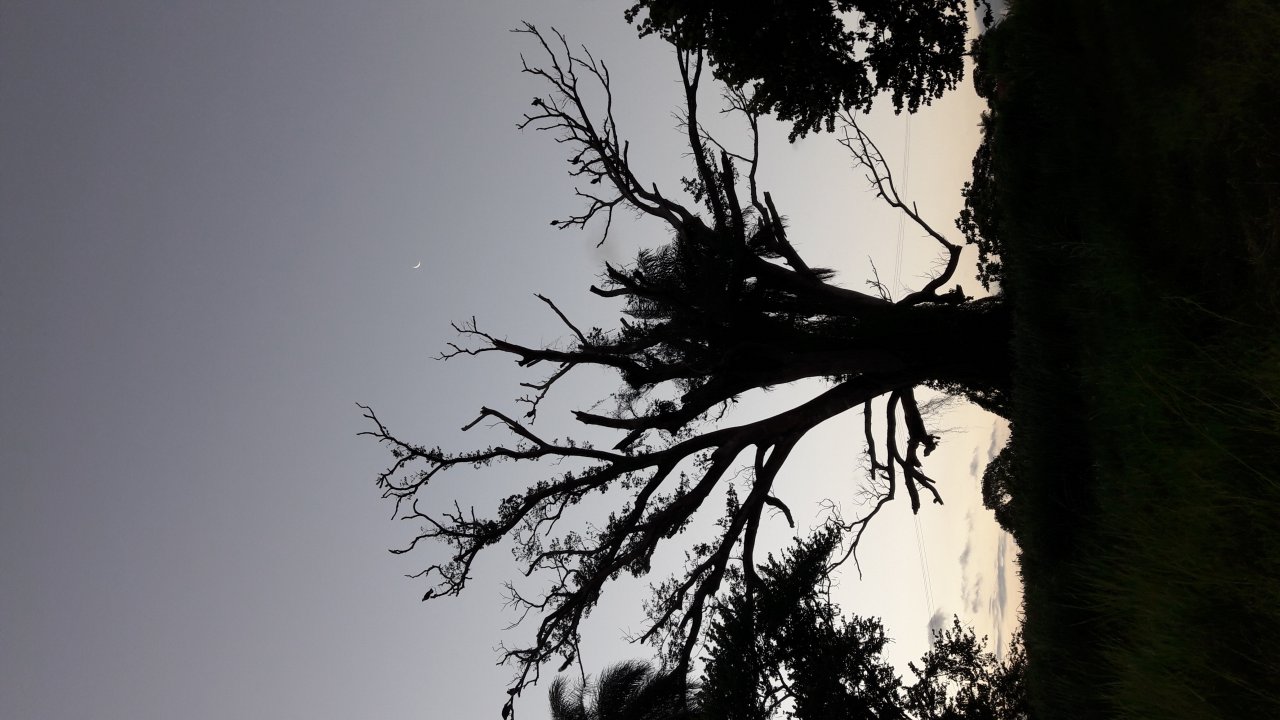 20190409_180223.jpg