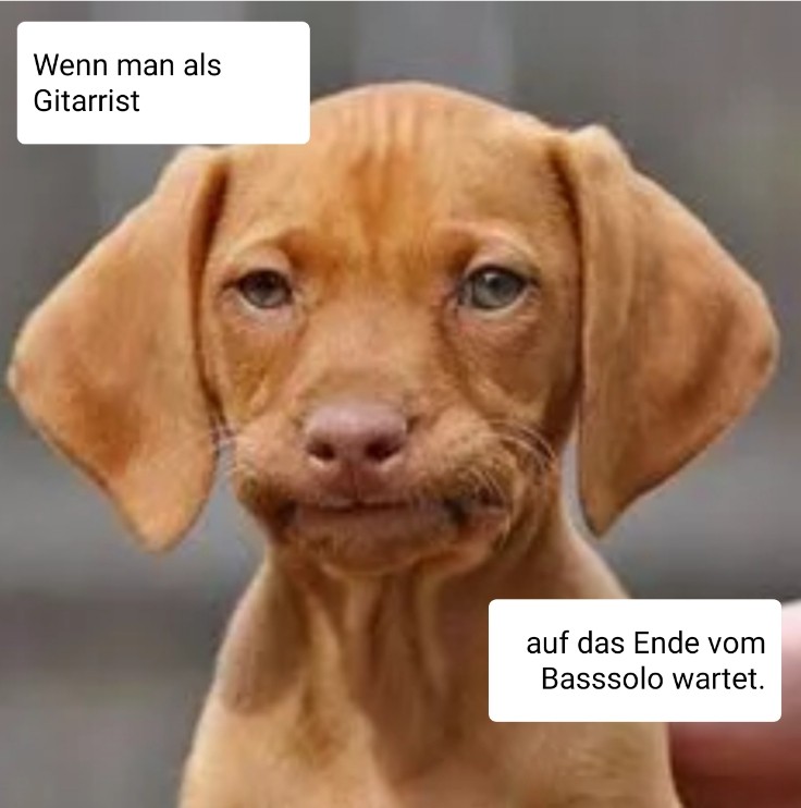 20190425_061810.jpg