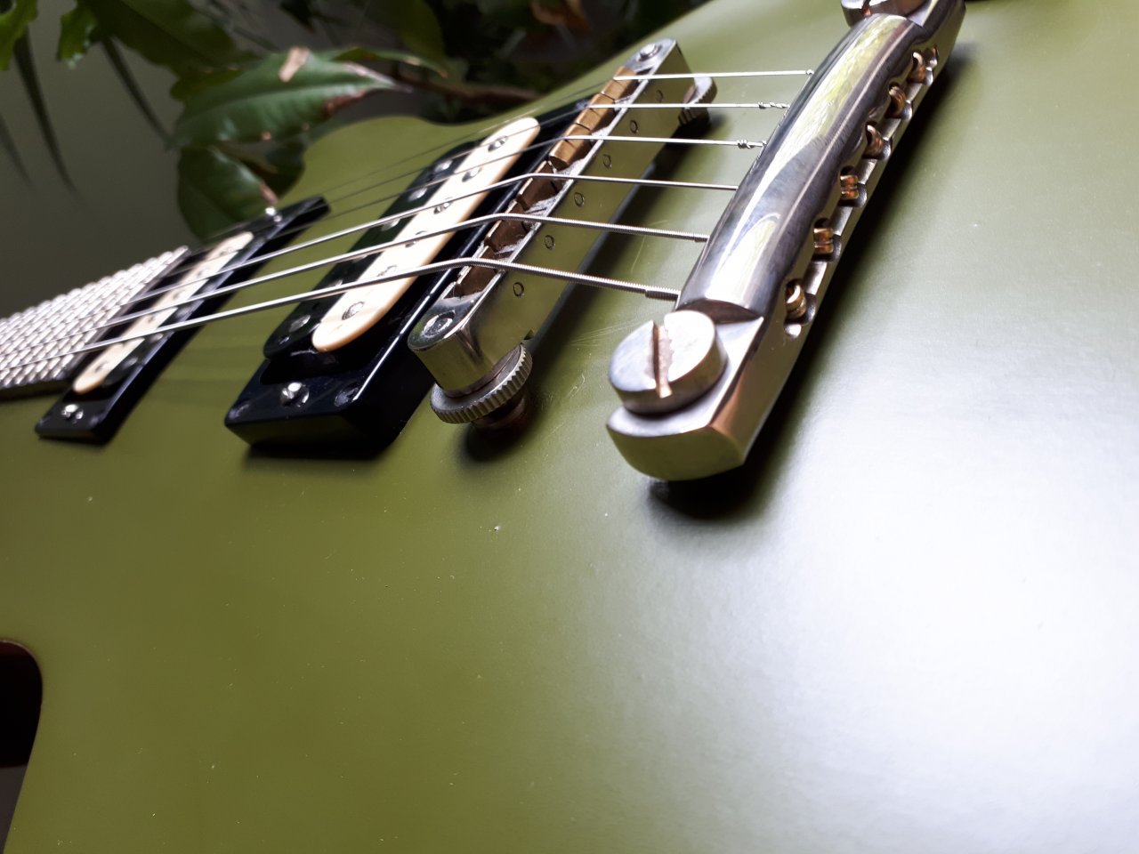 20190505_114151.jpg