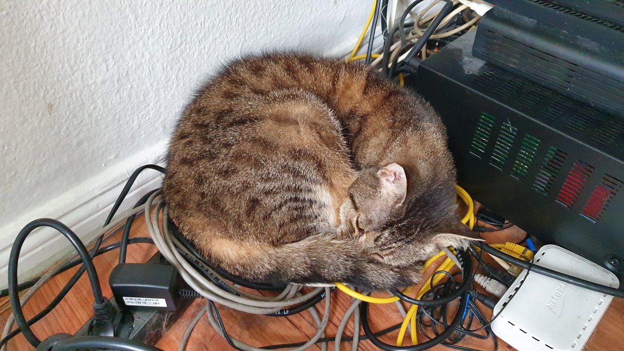 20190705_144148.jpg