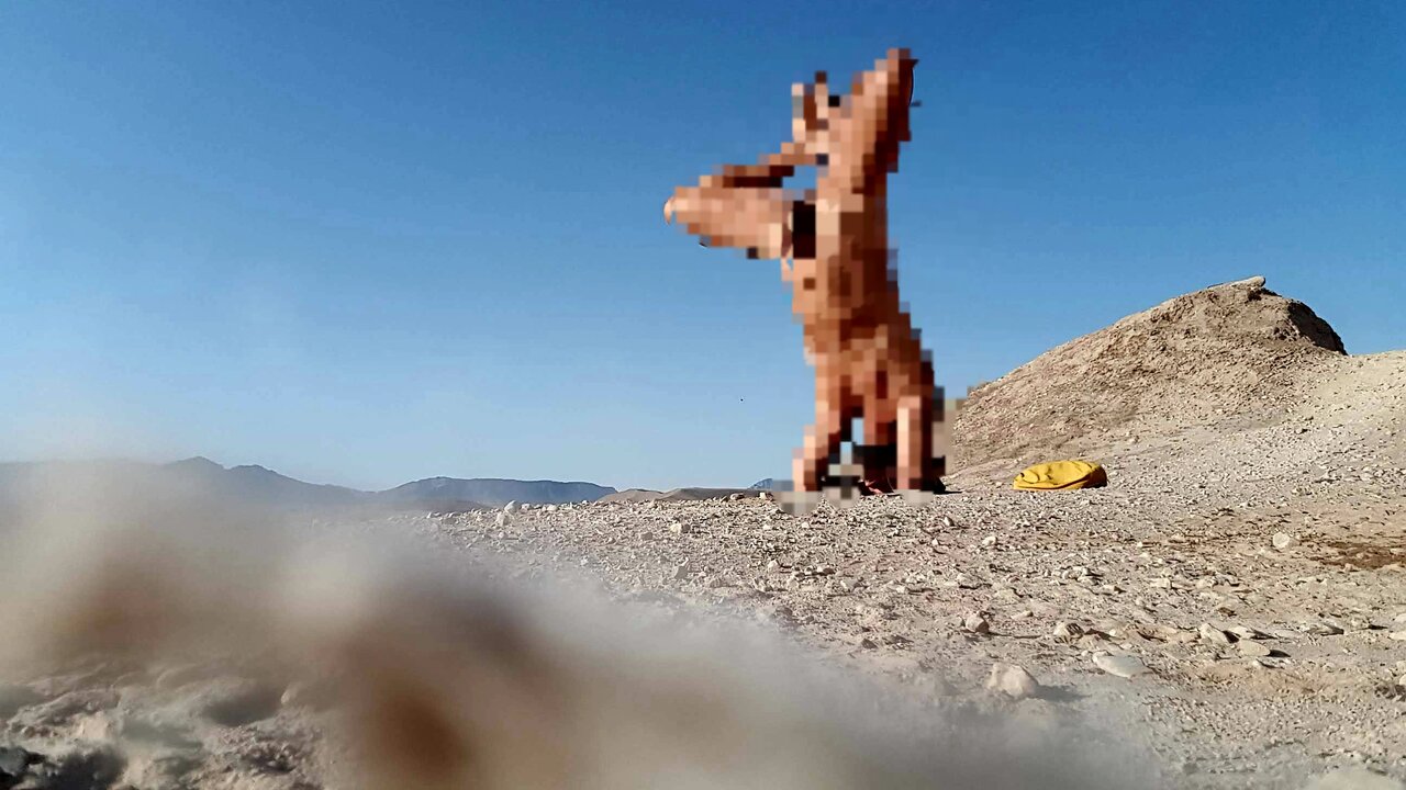 20190721_084449.jpg