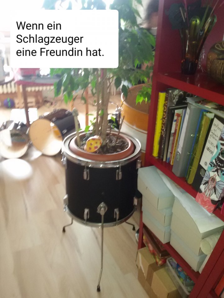 20190731_211642.jpg