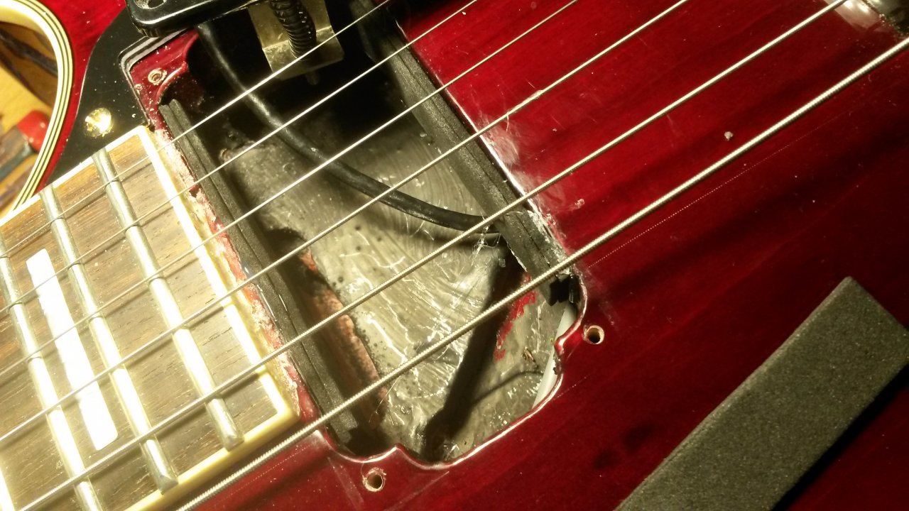 20190901_174222.jpg
