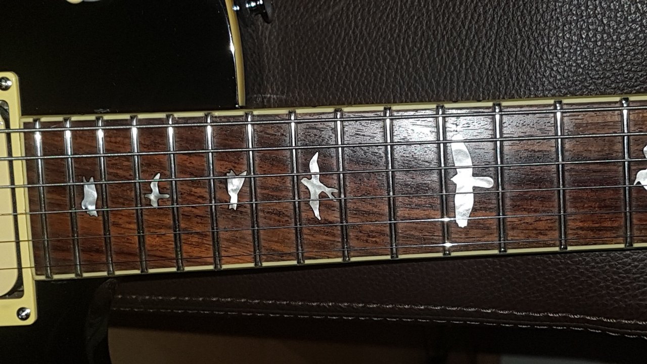 20191006_195448_K.jpg