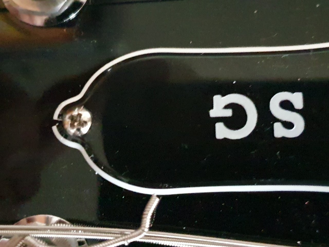 20191108_150203.jpg
