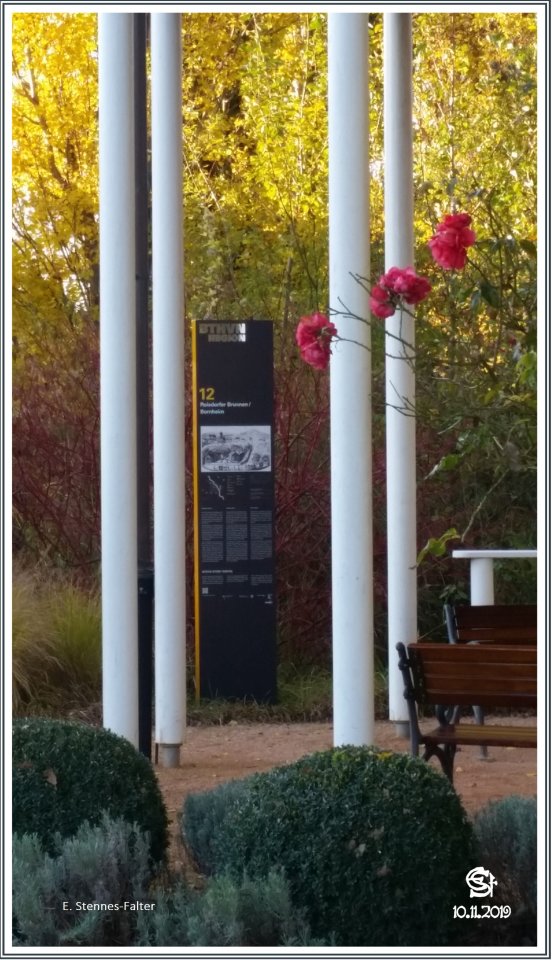 20191110_152602 Rsig Roisdorf Brunnen Beethovenweg.jpg