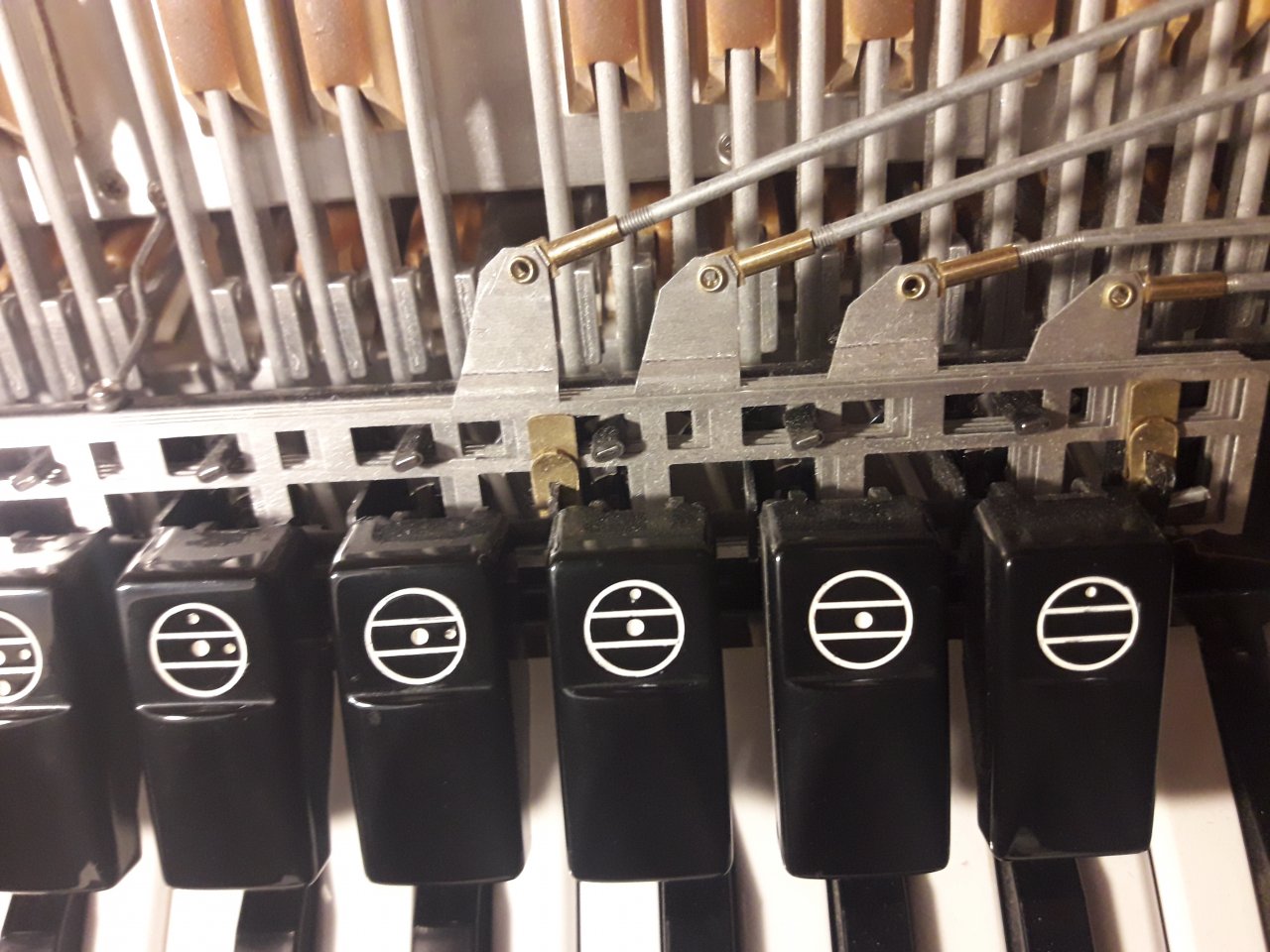 20191206_170839[1].jpg