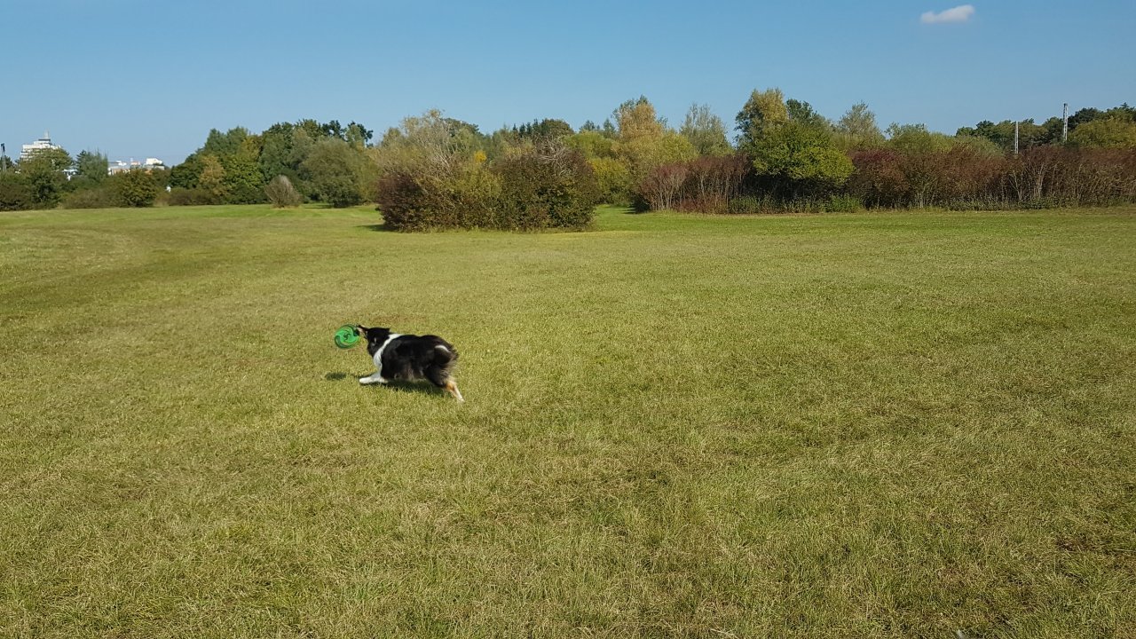20200922_125208.jpg