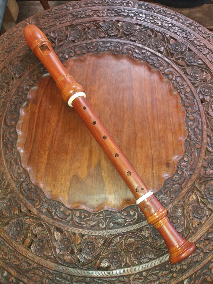 20201003_150307.jpg