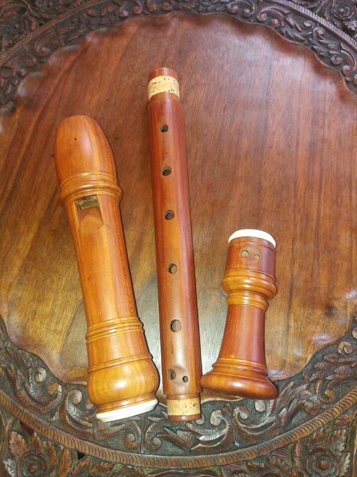 20201003_150404.jpg