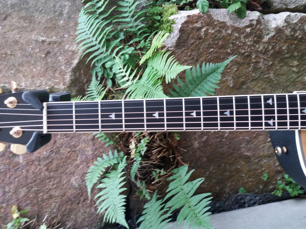 20201005_152533.jpg
