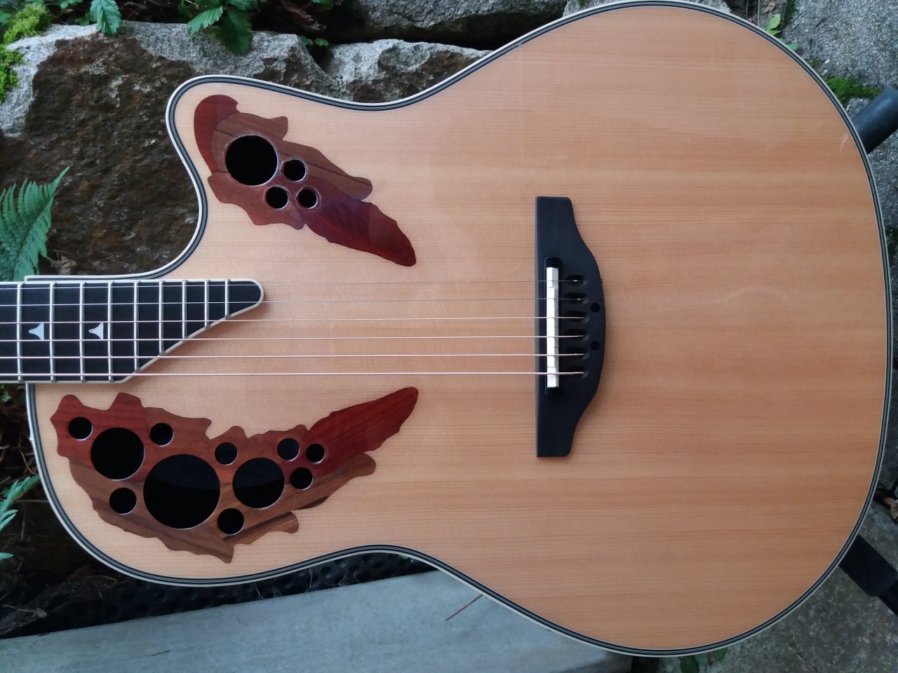 20201005_152537.jpg