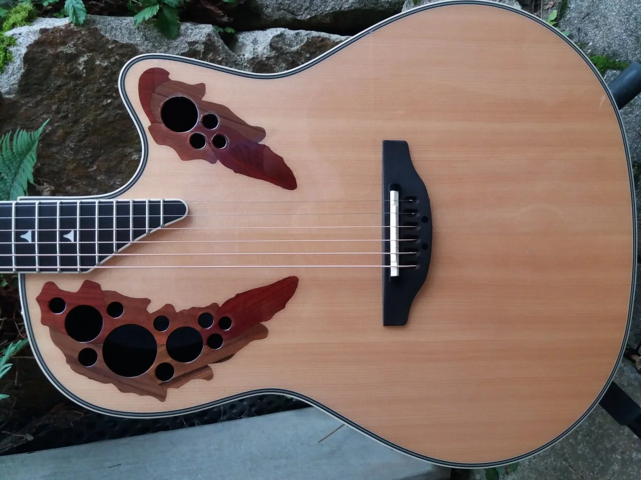 20201005_152537.jpg
