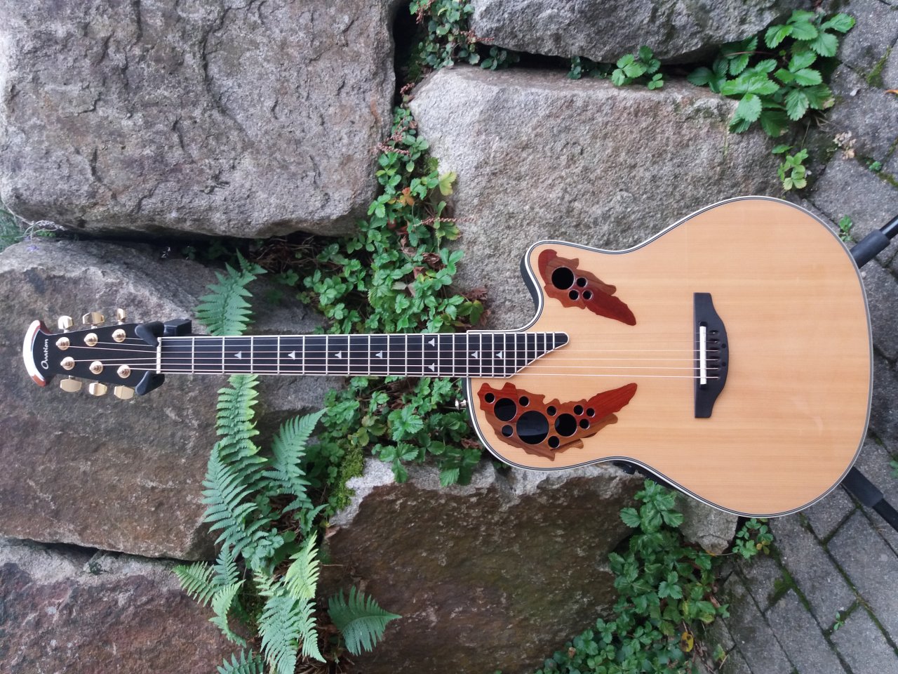 20201005_152556.jpg