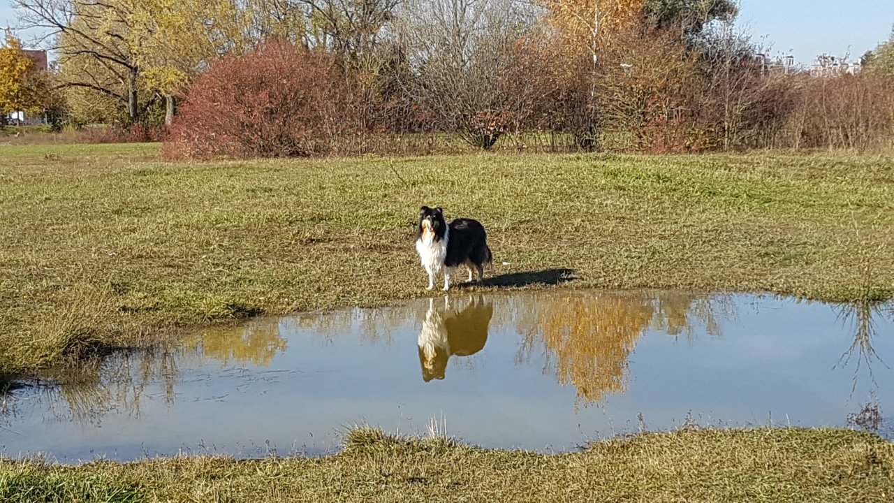 20201031_131744.jpg