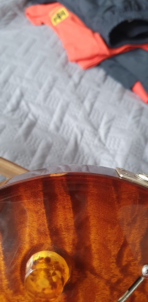 20210130_123310.jpg