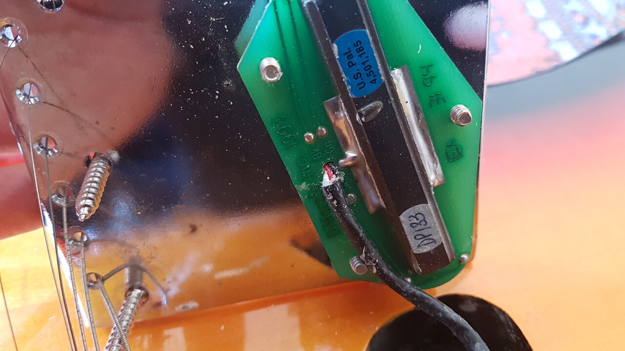 20210331_131834.jpg