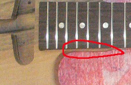 20210619_13.jpg