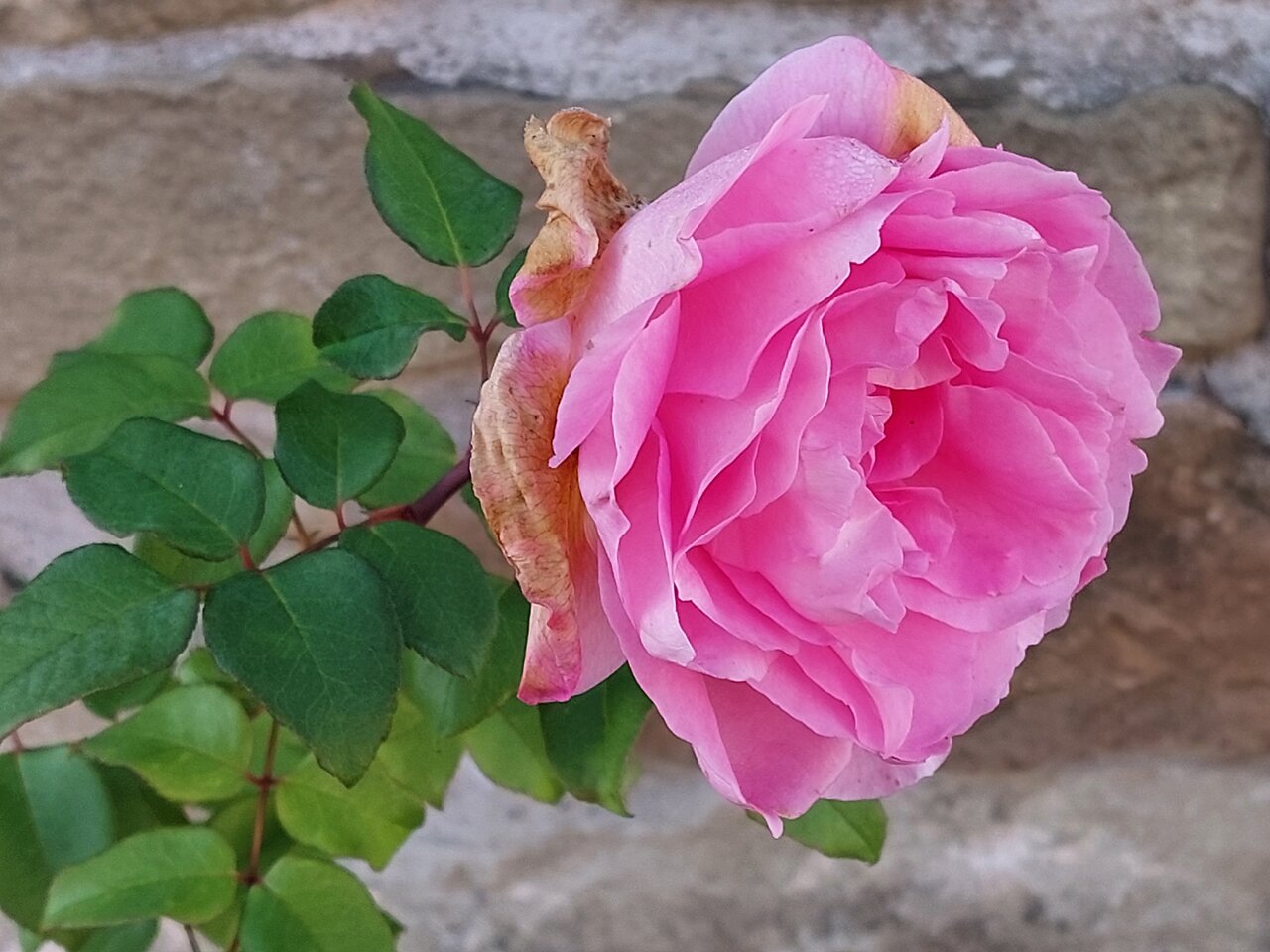 20210905_080953.jpg