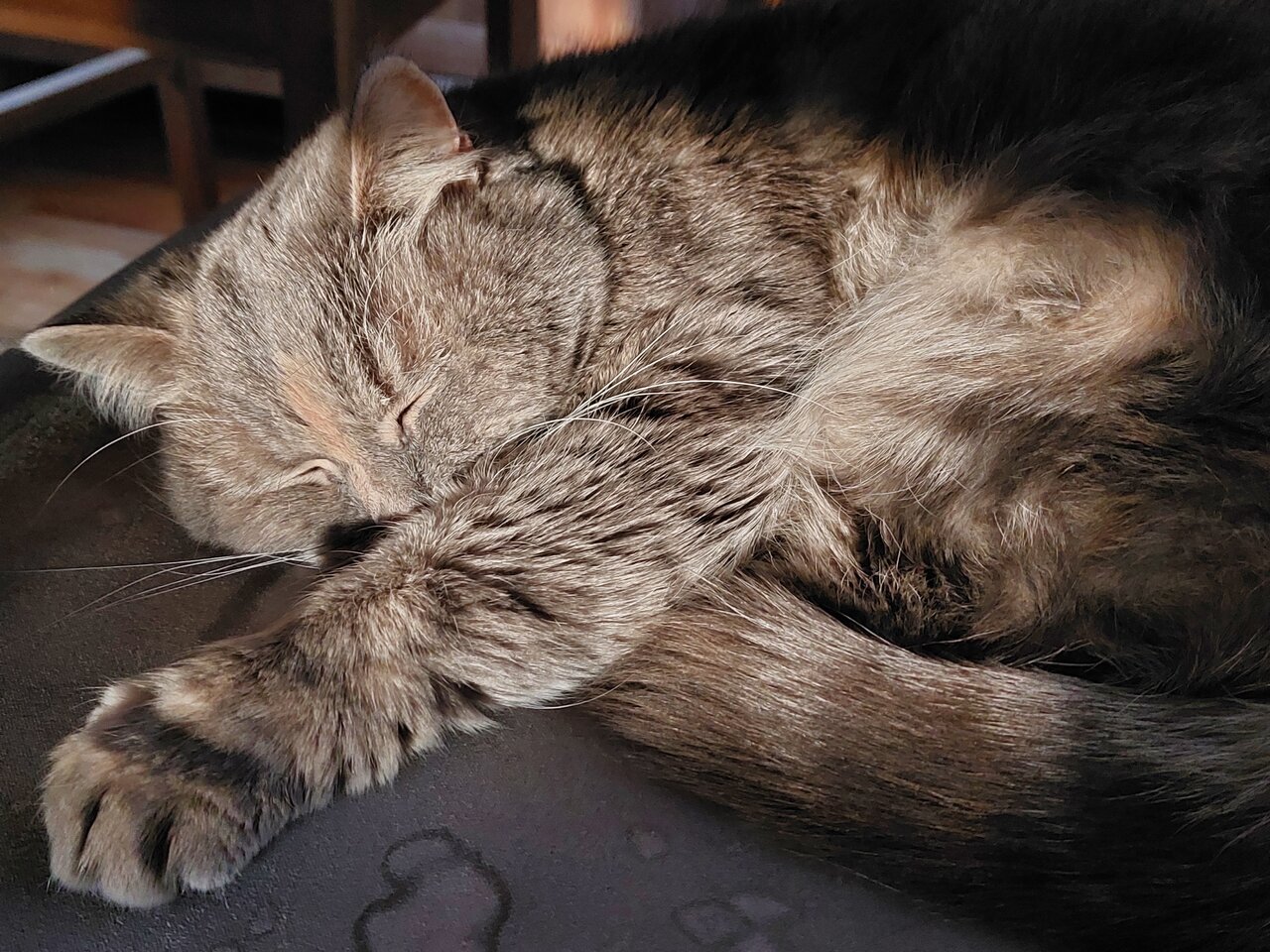 20211205_084413.jpg