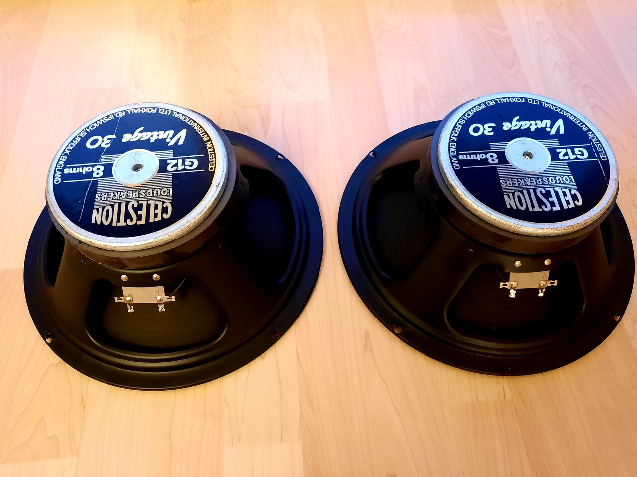 20220405_201218.jpg