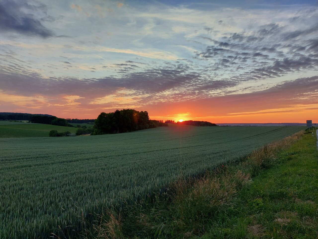 20220602_211100.jpg