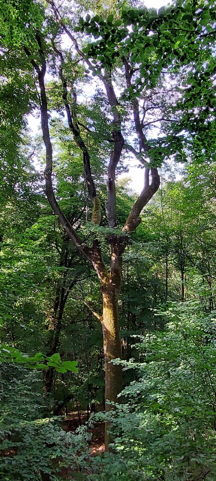 20220704_182724.jpg