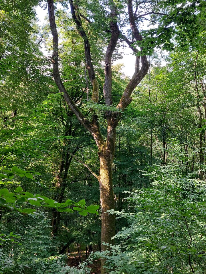 20220704_182739.jpg
