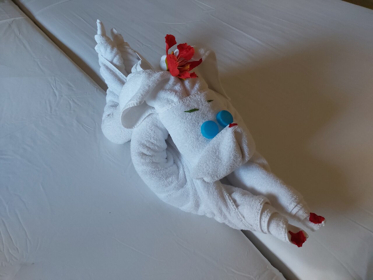20220729_171235.jpg
