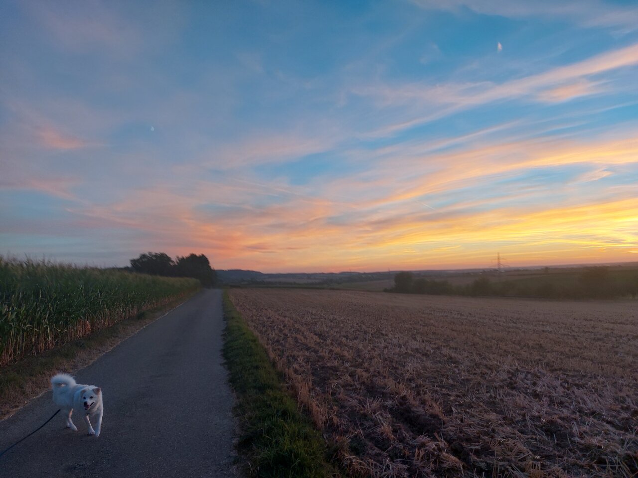 20220802_211417.jpg