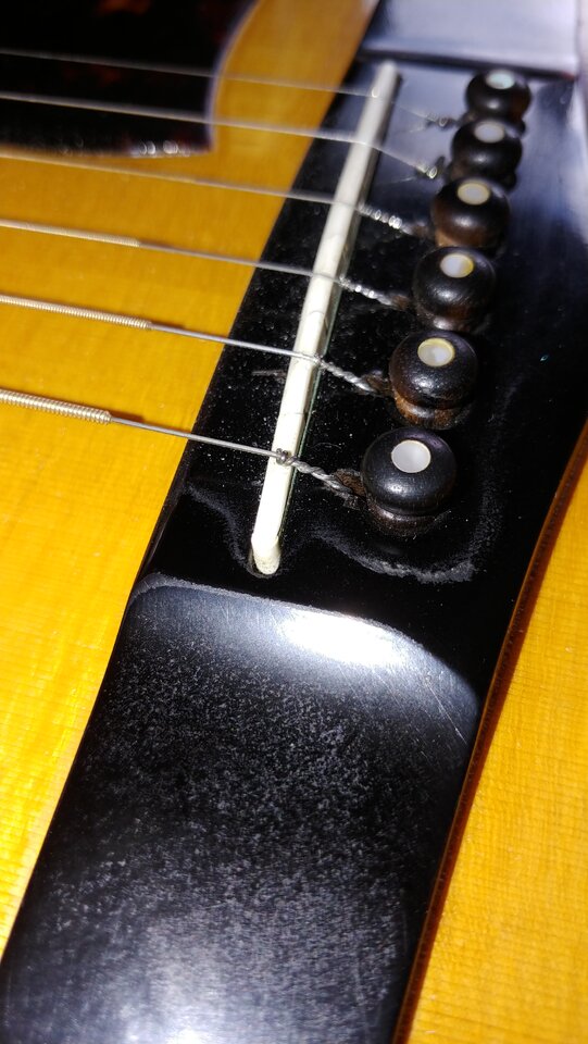 20221001_160120.jpg