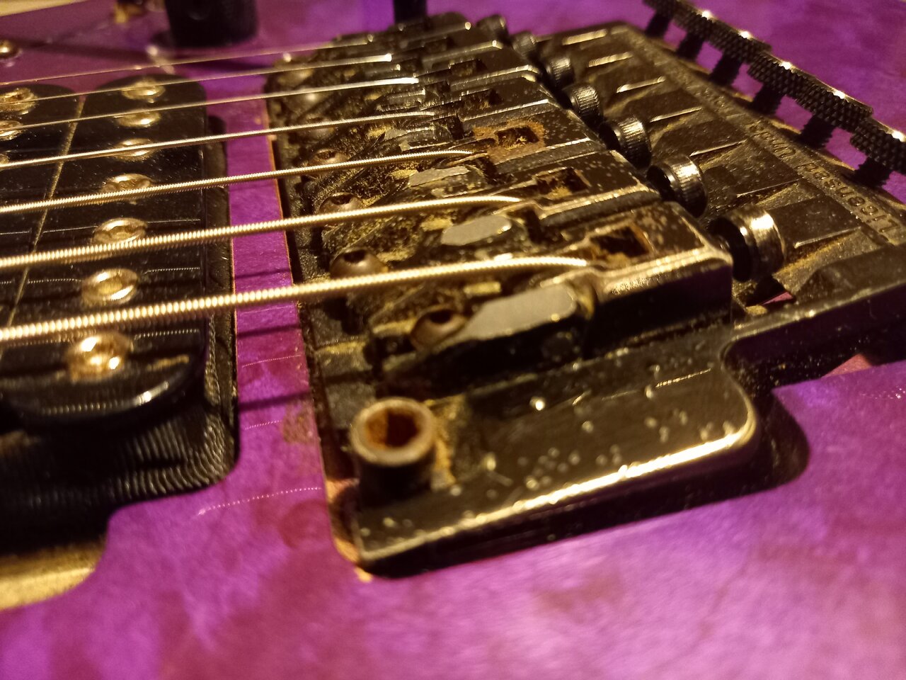 20221102_175704.jpg