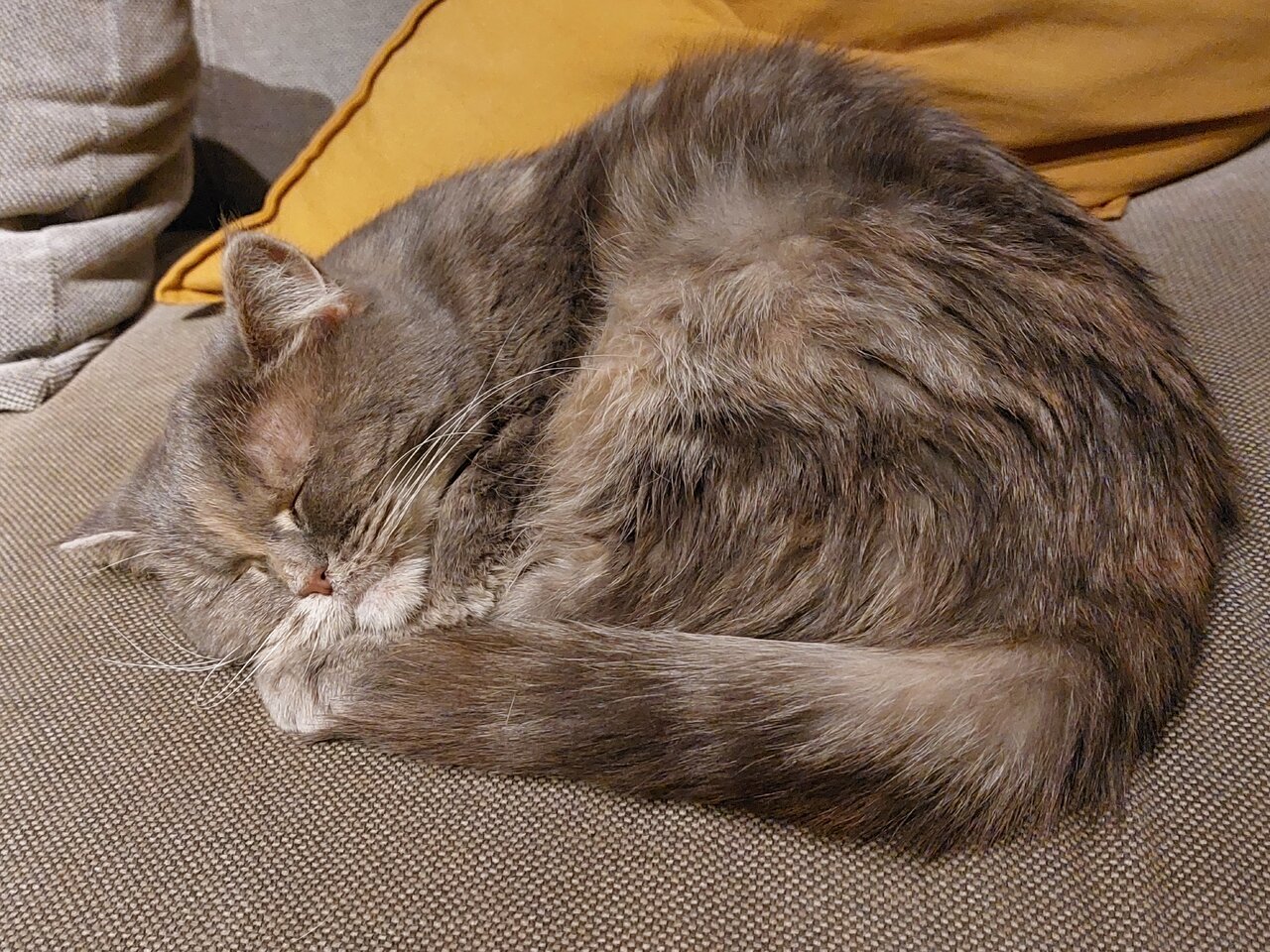 20221223_234328.jpg