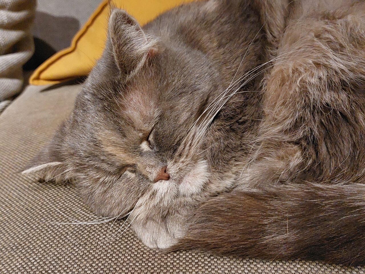 20221223_234340.jpg