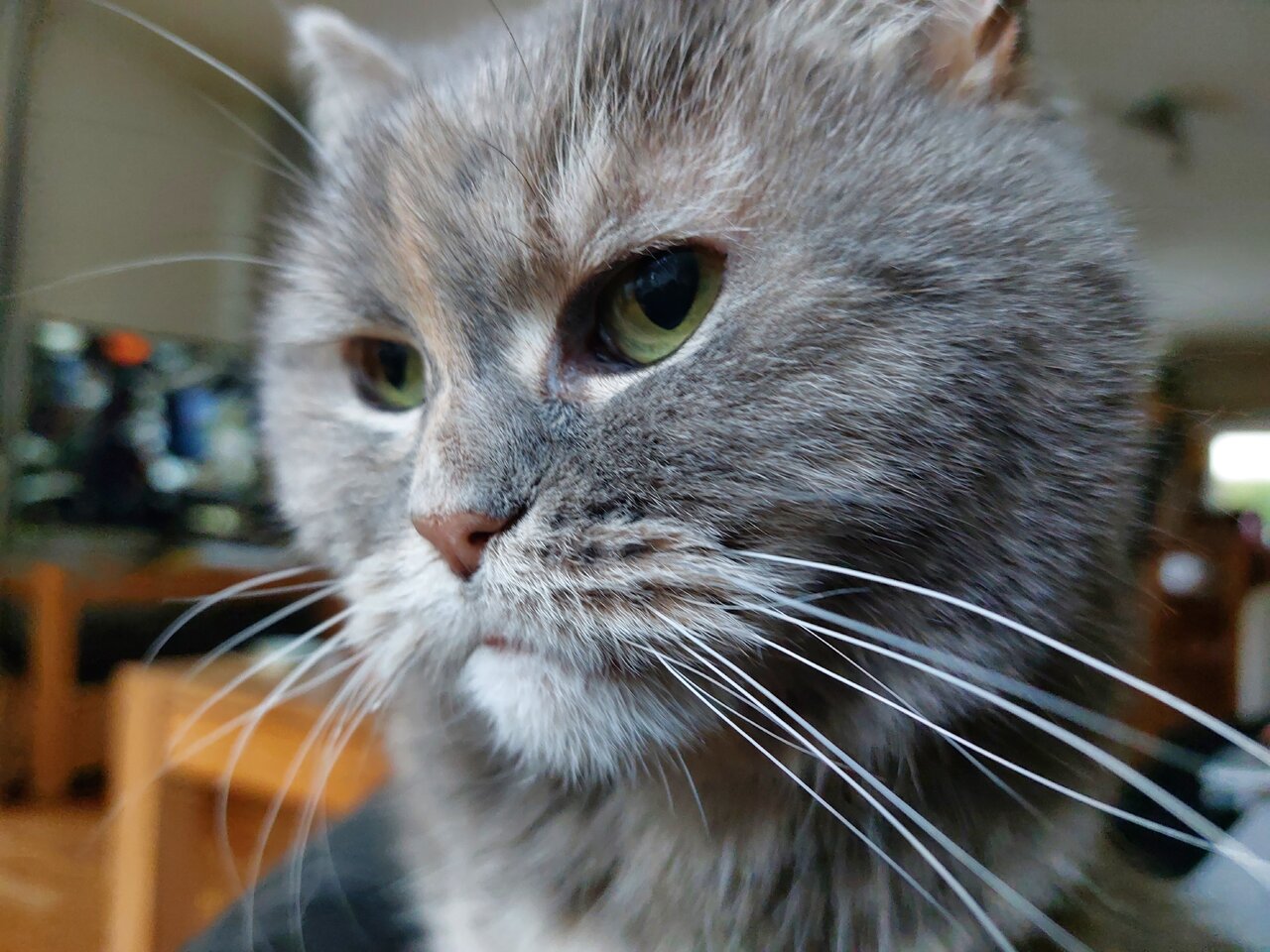 20221226_141705.jpg