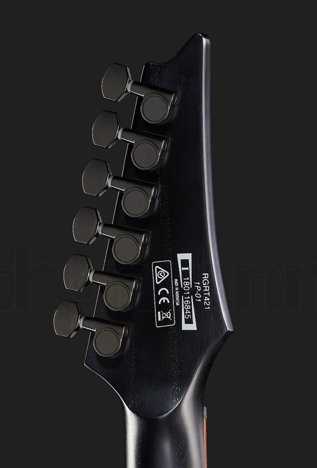2023-03-28 14_54_05-Ibanez RGRT421-WK.png