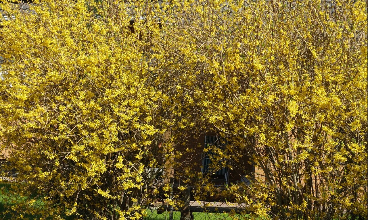 2023-04-08_084342.JPG