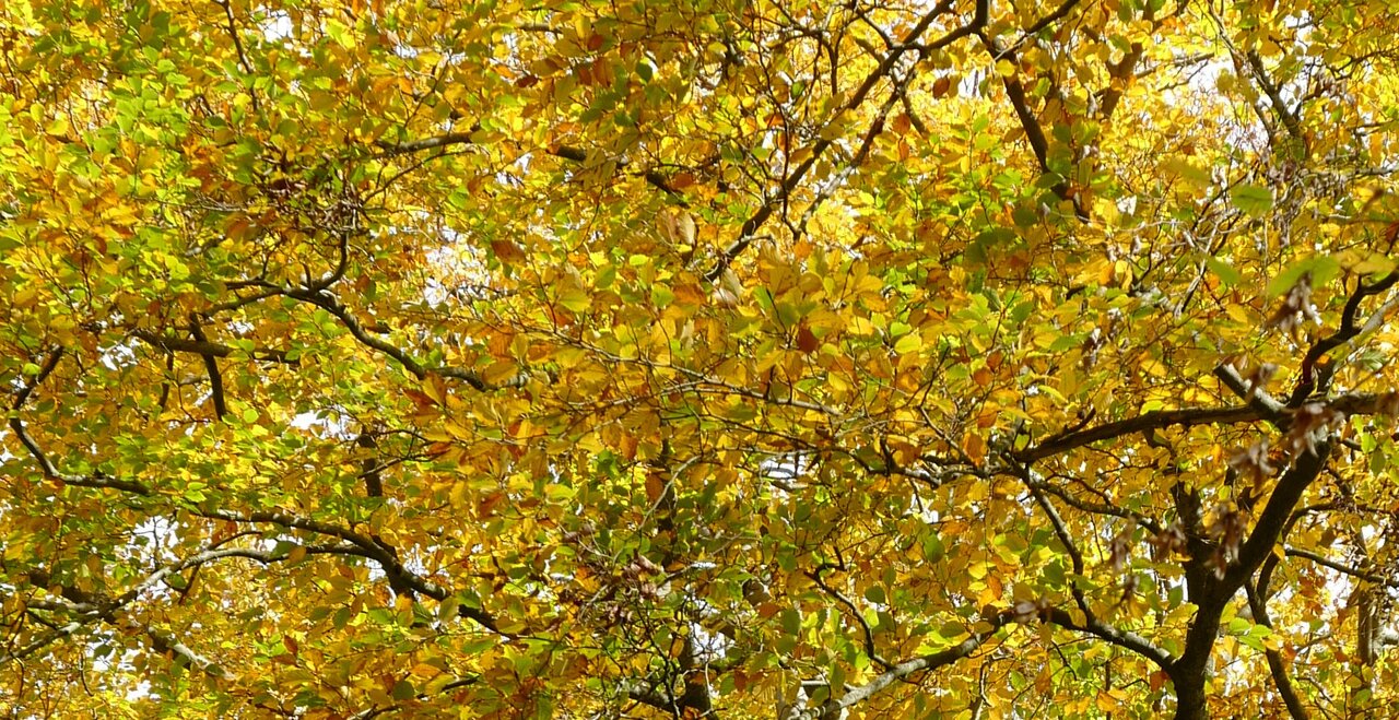 2023-11-04_145442.JPG