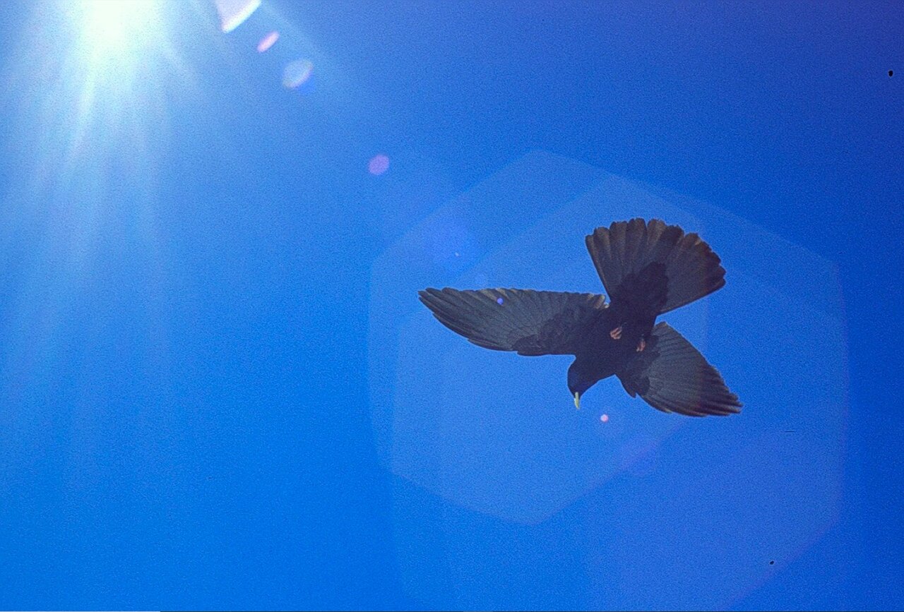 2023-11-24_192226.JPG