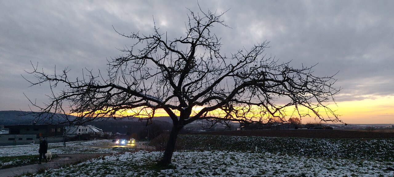 20230118_171349.jpg