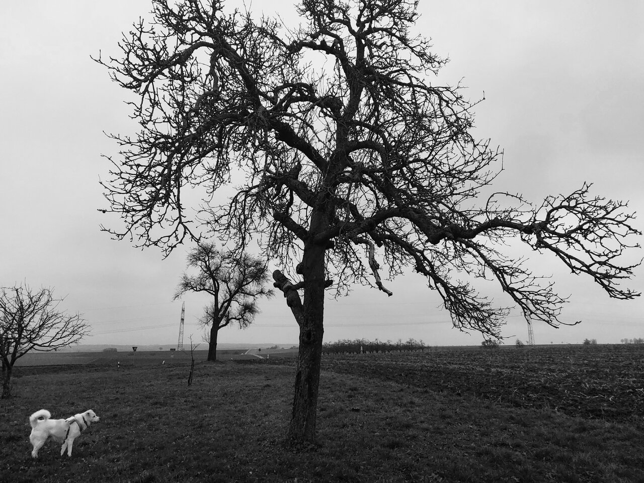 20230126_075627.jpg