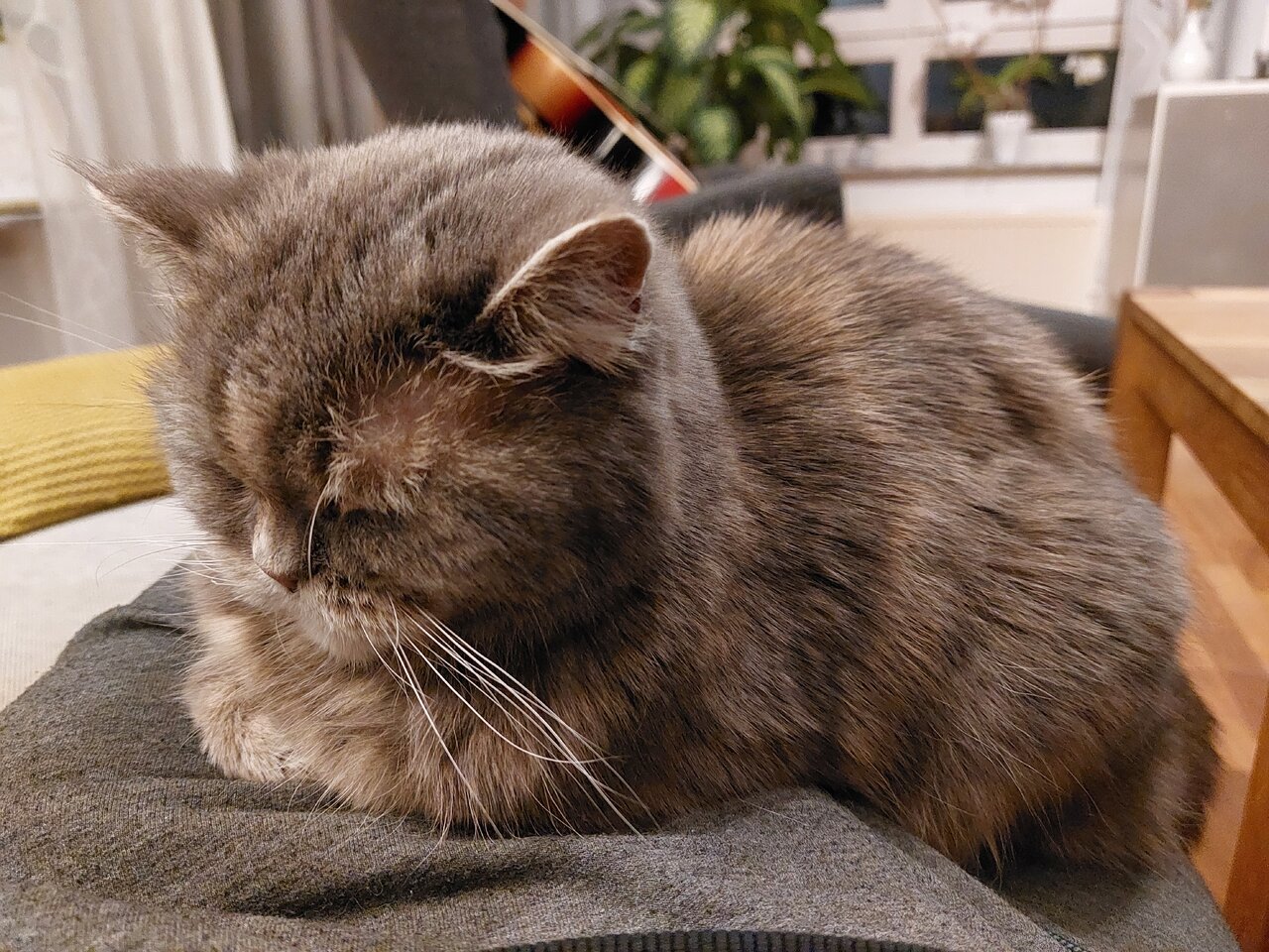 20230308_230114.jpg