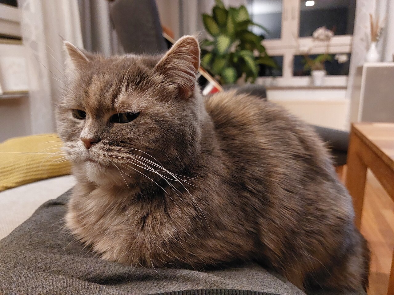 20230308_231039.jpg